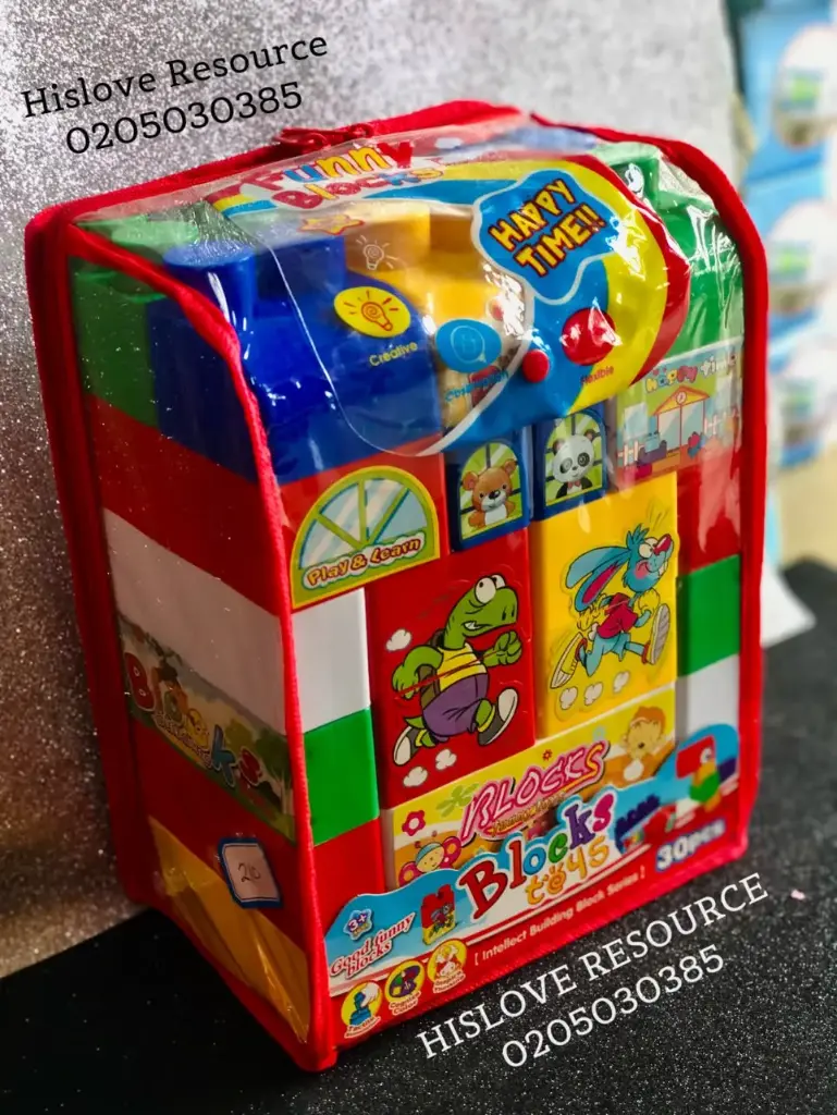 Mega Block (30pcs)