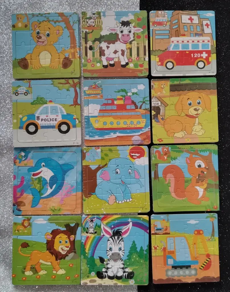 15pcs Picture Puzzle (2D)