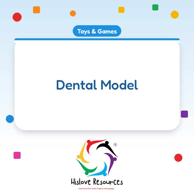 Dental Model