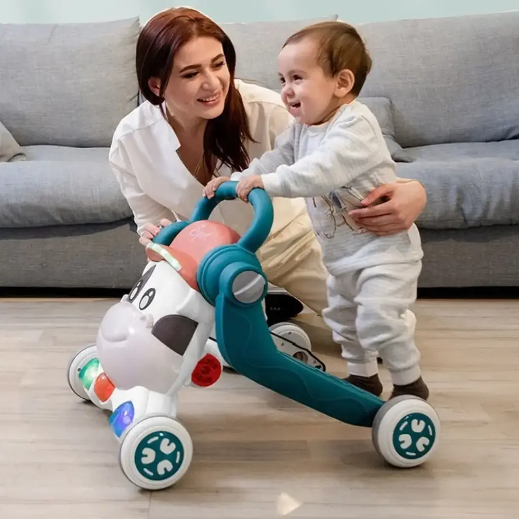 Three in One walker
