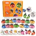 Ladybug  Alphabet Puzzle