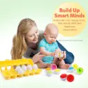 Shape & Colour Pairing Eggs