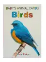 Baby Bird Card