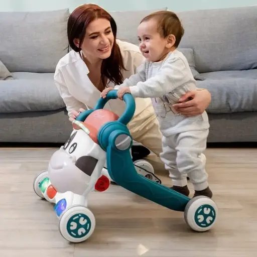 Three in One walker