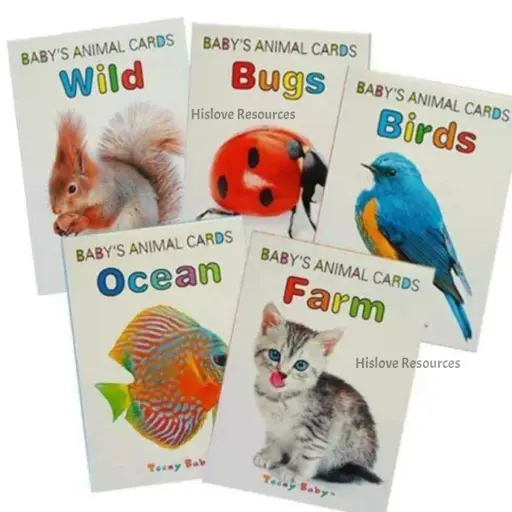 Baby Animal Flashcards (5 pack) 