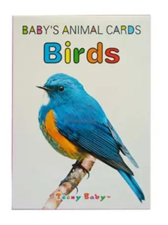 Baby Bird Card